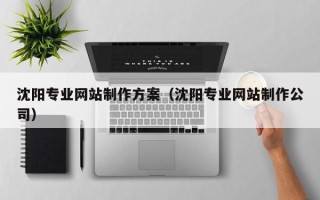 辽阳沈阳专业网站制作方案（沈阳专业网站制作公司）